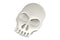 Wyatt Gatling Stainless Steel Fender Medallion with Skull - 50-1137