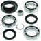 QuadBoss 05-14 Honda TRX500FA FourTrax Foreman Rubicon 4x4 AT (02) Rear Diff Bearing & Seal Kit