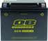 QuadBoss Maintenance-Free AGM Battery QBX20HL-FA