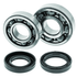 QuadBoss 88-06 Yamaha YFS200 Blaster Crankshaft Bearing & Seal Kit
