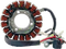 RICK'S MOTORSPORT ELECTRIC Stator - Yamaha 21-938