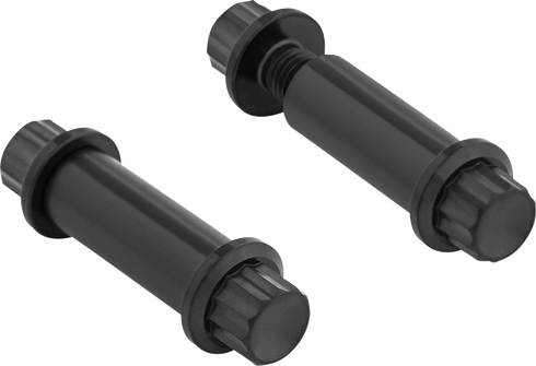 ARLEN NESS Bolt Kit - Footpeg - 12-Point - Titanium - Black 300-801