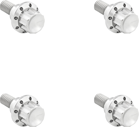 ARLEN NESS Bolt Kit - Windshield - 12-Point - Titanium - Silver 300-809