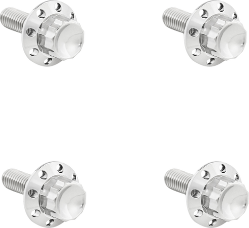 ARLEN NESS Bolt Kit - Windshield - Titanium - 12-Point - Polished 300-815