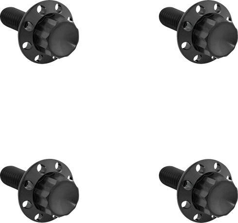 ARLEN NESS Bolt Kit - Windshield - Titanium - 12-Point - Black 300-816