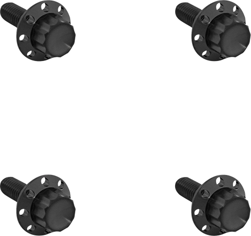 ARLEN NESS Bolt Kit - Windshield - Titanium - 12-Point - Black 300-840