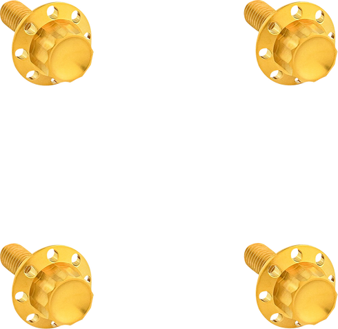 ARLEN NESS Bolt Kit - Windshield - Titanium - 12-Point - Gold 300-841