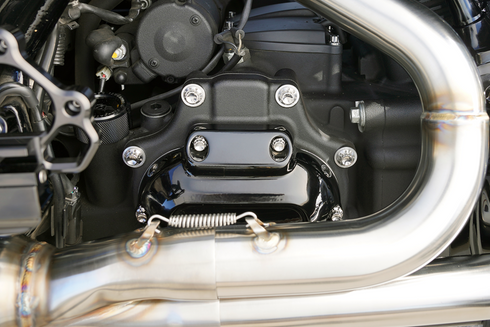 ARLEN NESS Bolt Kit - Transmission Side Cover/Trap Door - 12-Point - Titanium - Polished 300-953