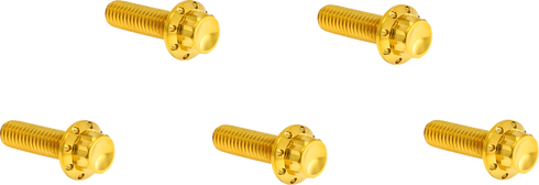 ARLEN NESS Bolt Kit - Derby Cover - 12-Point - Titanium - Gold 300-940