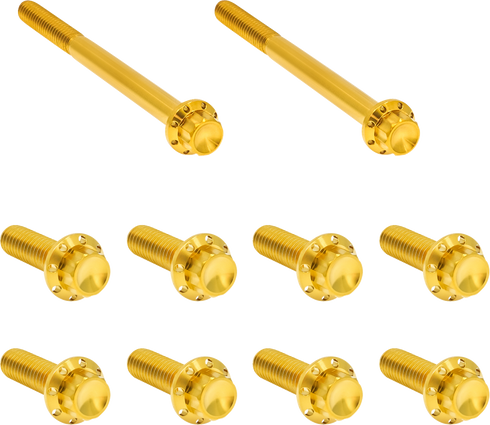 ARLEN NESS Bolt Kit - Transmission Side Cover/Trap Door - 12-Point - Titanium - Gold 300-952