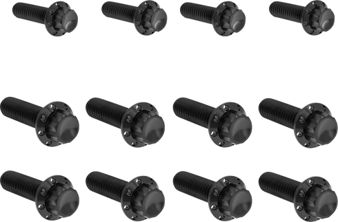 ARLEN NESS Bolt Kit - Transmission Side Cover/Trap Door - 12-Point - Titanium - Black 300-954