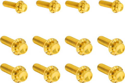 ARLEN NESS Bolt Kit - Transmission Side Cover/Trap Door - 12-Point - Titanium - Gold 300-955