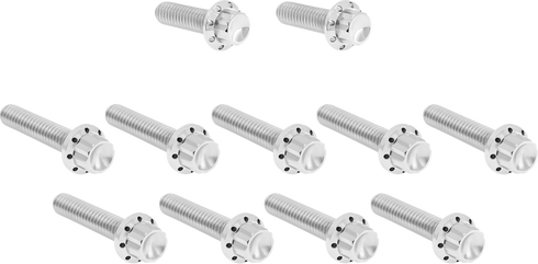 ARLEN NESS Bolt Kit - Cam Cover/Point Cover - Titanium - 12-Point - Polished 300-980