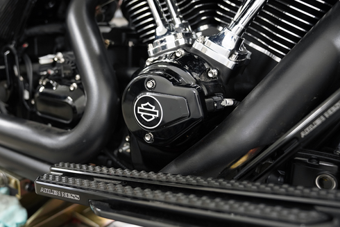 ARLEN NESS Bolt Kit - Cam Cover/Point Cover - Titanium - 12-Point - Polished 300-980