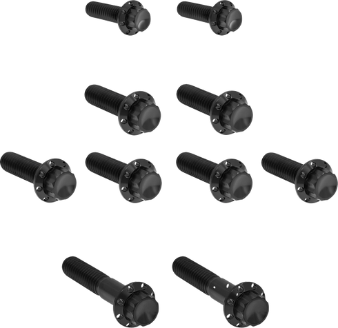 ARLEN NESS Bolt Kit - Transmission Side Cover/Trap Door - 12-Point - Titanium - Black 300-984