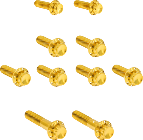 ARLEN NESS Bolt Kit - Transmission Side Cover/Trap Door - 12-Point - Titanium - Gold 300-985