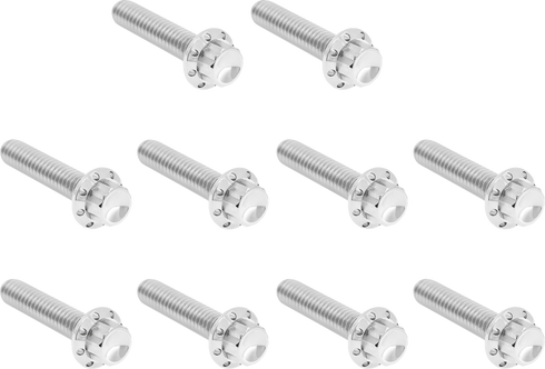 ARLEN NESS Bolt Kit - Cam Cover/Point Cover - Titanium - 12-Point - Polished 300-986