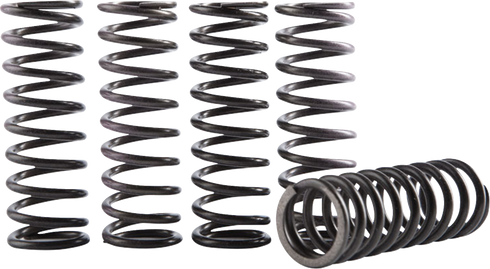 HINSON RACING Hi-Temp Clutch Spring Kit - WR250F/YZ250F/FX CS641-6-1901