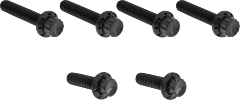 ARLEN NESS Bolt Kit - Cable Clutch - Titanium - 12-Point - M8/Twin Cam - Black 300-704