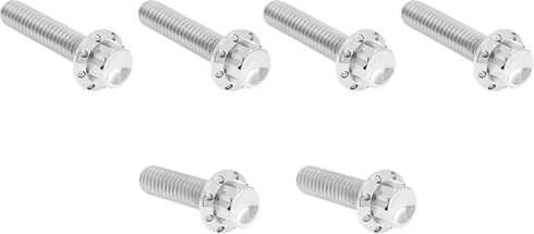 ARLEN NESS Bolt Kit - Cable Clutch - Titanium - 12-Point - M8/Twin Cam - Polished 300-703