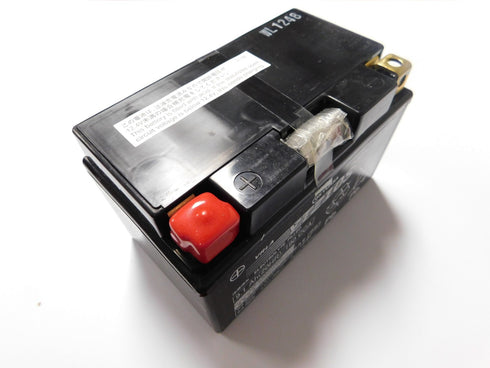 New Yuasa Battery AGM YTZ10S Aprilla Bmw Honda Suzuki Kawasaki Yamaha OEM