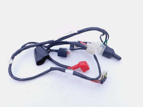 HONDA WIRING HARNESS 2013-2018 CRF110F GENUINE OEM NEW 32100-KYK-910