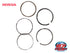 HONDA PISTON RING SET 2003-2024 NPS 50 RUCKUS OEM OEM 13010-GET-306