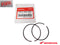 Honda Standard Bore Piston Ring Kit Rings Set 1990-2004 CR 250 R 250R OEM
