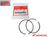 Honda Standard Bore Piston Ring Kit Rings Set 1990-2004 CR 250 R 250R OEM