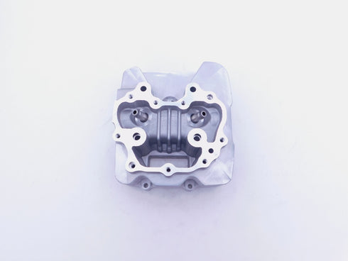 HONDA CYLINDER HEAD 2002-2014 TRX250 RECON GENUINE OEM NEW 12200-HM8-305