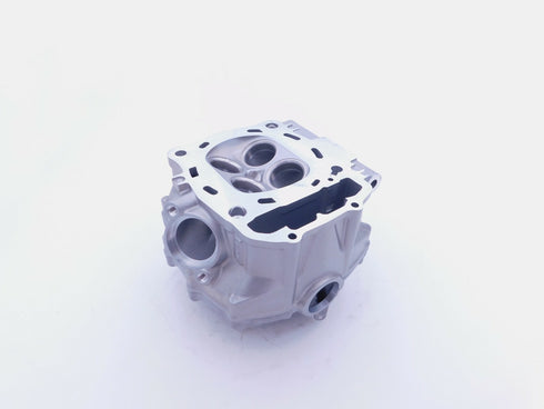 NEW OEM HONDA 2008-2009 TRX700XX CYLINDER HEAD 12010-HP6-A00