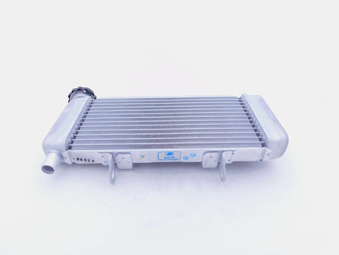 HONDA RADIATOR 2011-2013 CBR250R 2015-2022 CBR300R OEM NEW 19010-KYJ-305