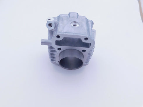 HONDA CYLINDER 2019 - 2023 CRF110F GENUINE OEM JUG BARREL NEW 12100-KYK-D10