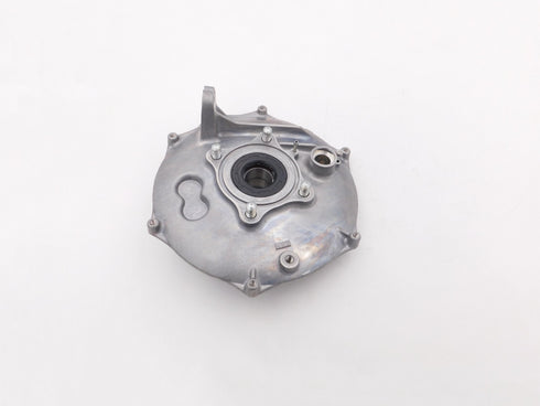 HONDA REAR BRAKE PANEL SET 2001-2014 TRX500 RUBICON OEM NEW 43010-HN2-000