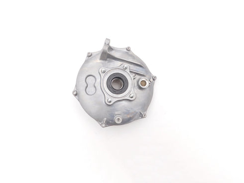 HONDA REAR BRAKE PANEL SET 2001-2014 TRX500 RUBICON OEM NEW 43010-HN2-000