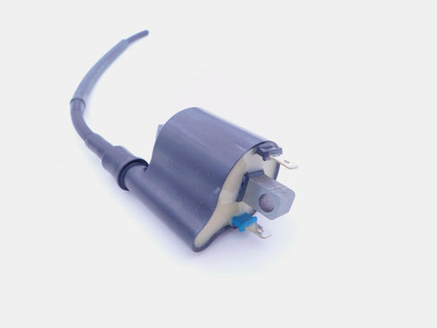 HONDA IGNITION COIL 2013-2018 CRF110F GENUINE OEM NEW 30510-KYK-911