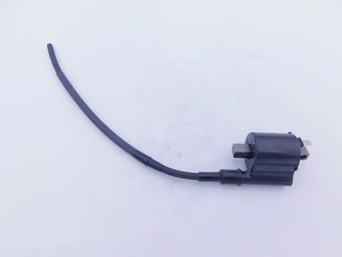 HONDA IGNITION COIL 2013-2018 CRF110F GENUINE OEM NEW 30510-KYK-911