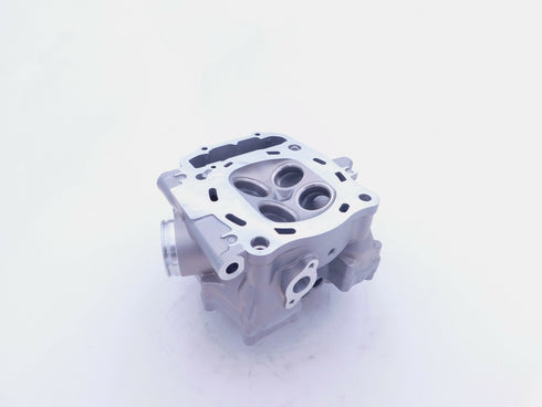 NEW OEM HONDA 2008-2009 TRX700XX CYLINDER HEAD 12010-HP6-A00