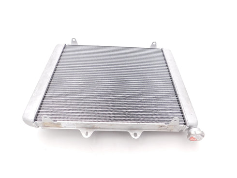 HONDA RADIATOR 2022-2025 TALON 1000  OEM NEW GENUINE 19010-HL6-AA1