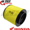 Honda 1999-2023 Foreman 500 Rancher 420 TRX 400 EX OEM Air Filter 17254-HN1-000