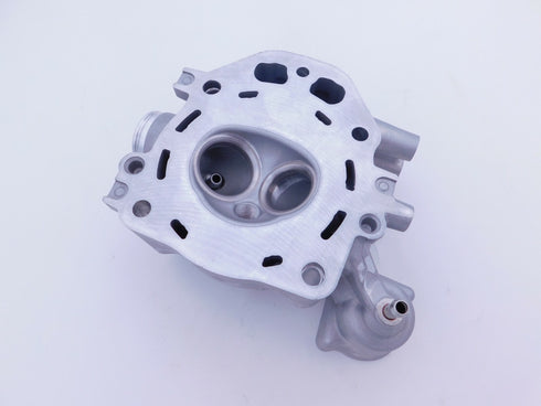 NEW OEM HONDA CYLINDER HEAD TRX420 TRX500 SXS500 2006-2021 12200-HP7-A01