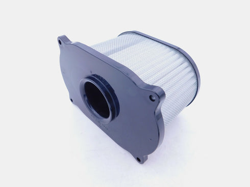 SUZUKI 1999-2002 SV650 SV650S NEW OEM AIR FILTER CLEANER  13780-20F00