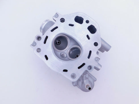 NEW OEM HONDA CYLINDER HEAD TRX420 TRX500 SXS500 2006-2021 12200-HP7-A01