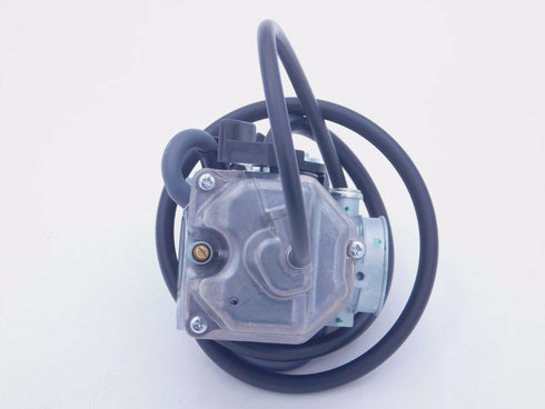 HONDA CARBURETOR ASSEMBLY TRX250TM/FE FOURTRAX RECON 2002-2004 NEW GENUINE