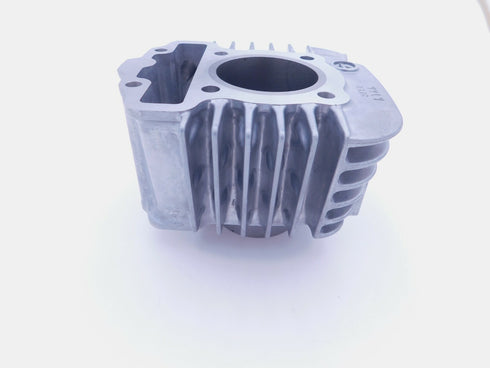 HONDA CYLINDER 2019 - 2023 CRF110F GENUINE OEM JUG BARREL NEW 12100-KYK-D10