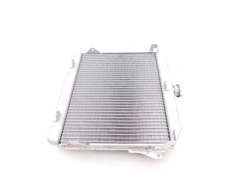 HONDA RADIATOR 2014-2026 PIONEER 700 OEM NEW GENUINE 19010-HL3-A01