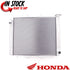 HONDA RADIATOR 2022-2025 TALON 1000  OEM NEW GENUINE 19010-HL6-AA1