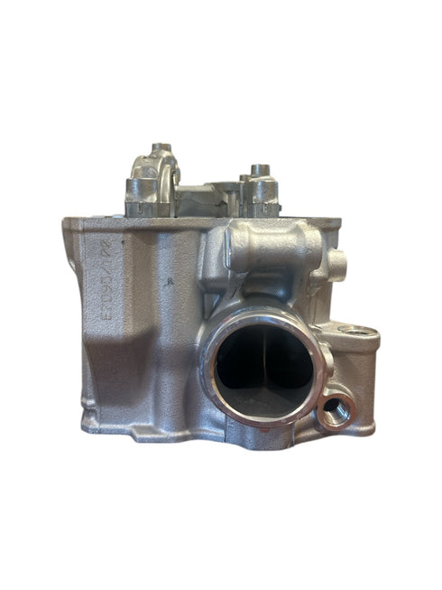 BETA CYLINDER HEAD D95 2010-2024 400-520 RR/Race/RR-S/RS (SEE FITMENT) OEM