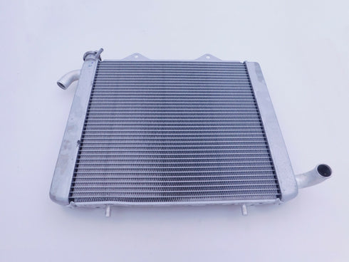 HONDA RADIATOR 2016 - 2021 PIONEER 1000 OEM GENUINE NEW 19010-HL4-F01