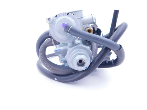 New Genuine Honda Carburetor 2016-2024 TRX 250 Fourtrax Recon ES Carb TRX250 OEM